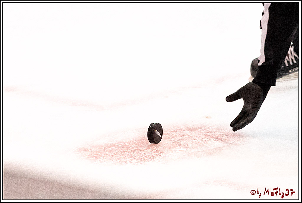 PENNY DEL;  Iserlohn Roosters - Koelner Haie; Iserlohn, 05.02.2021